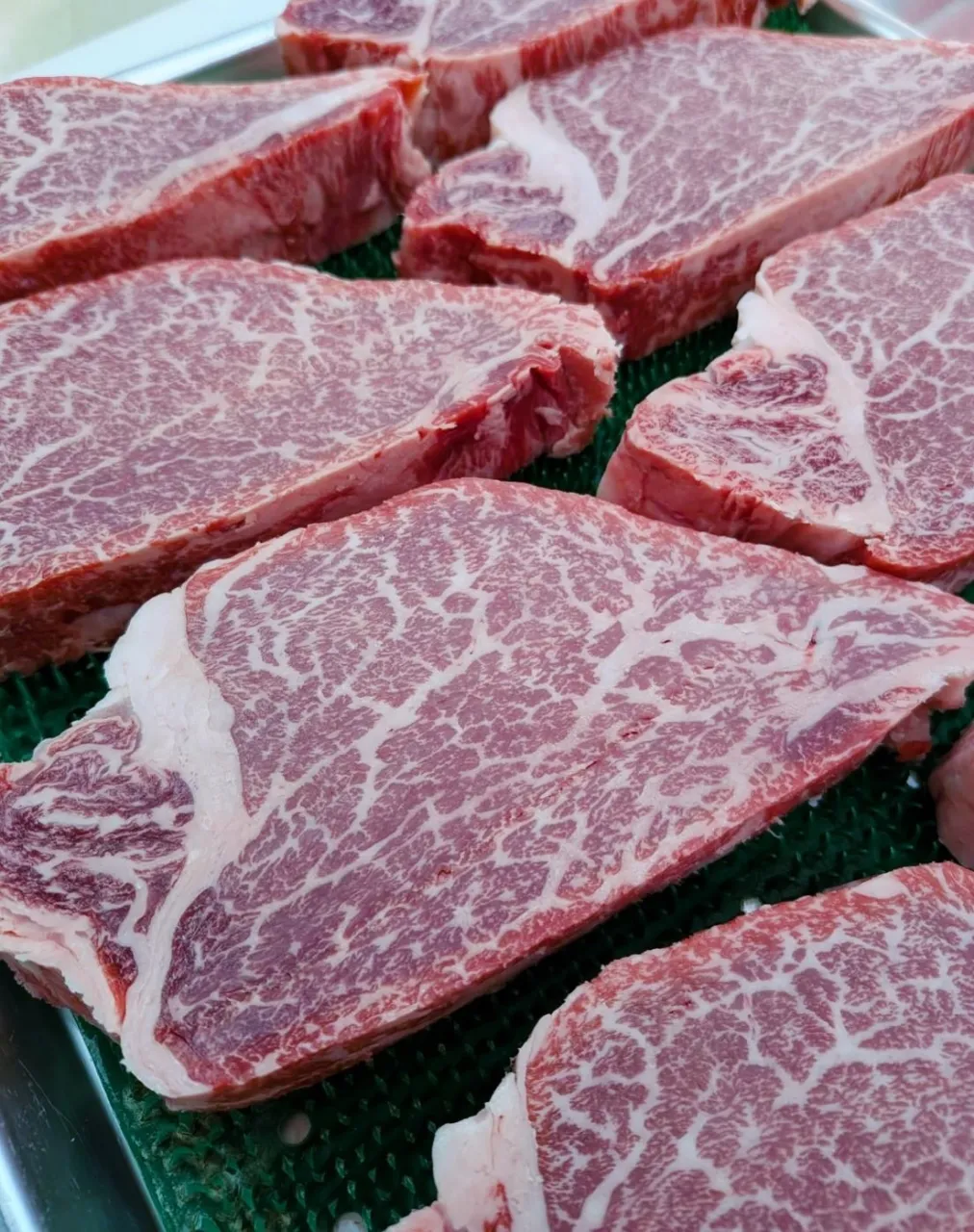 厳選素材をお得に🍖